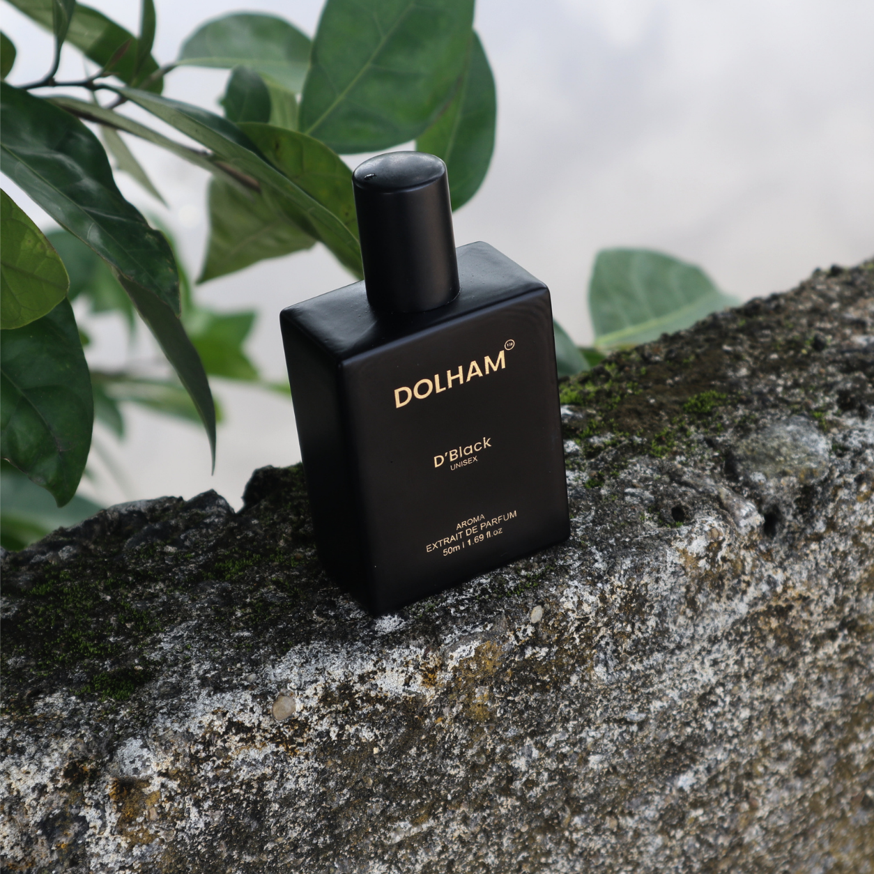 DOLHAM D'Black Unisex Extrait De Parfum - 50 ml